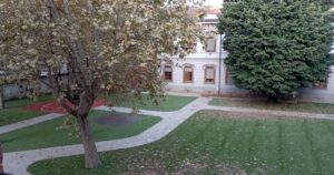 foto scuola bollini, il nuovo cortile con il canestro e gli alberi